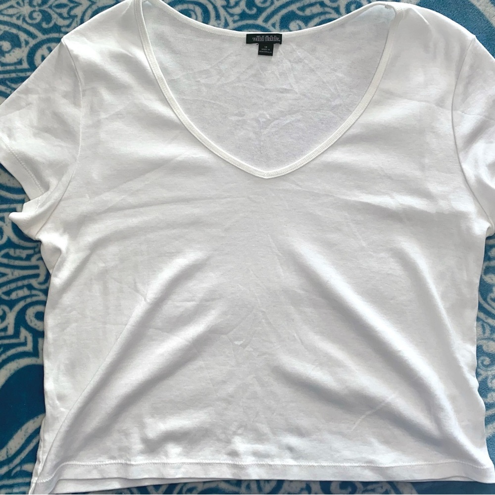 Wild Fable V-Neck Crop Top